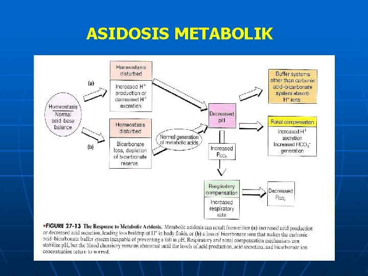 ASIDOSIS METABOLIK 