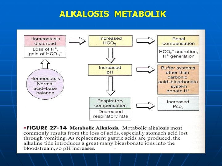 ALKALOSIS METABOLIK 