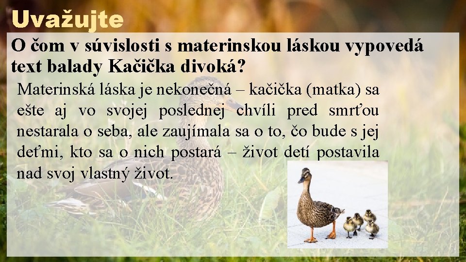 Uvažujte O čom v súvislosti s materinskou láskou vypovedá text balady Kačička divoká? Materinská