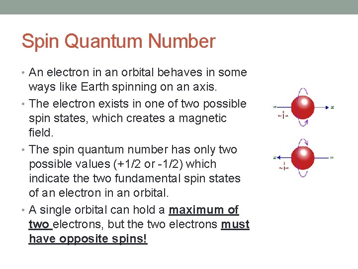 Spin Quantum Number • An electron in an orbital behaves in some ways like