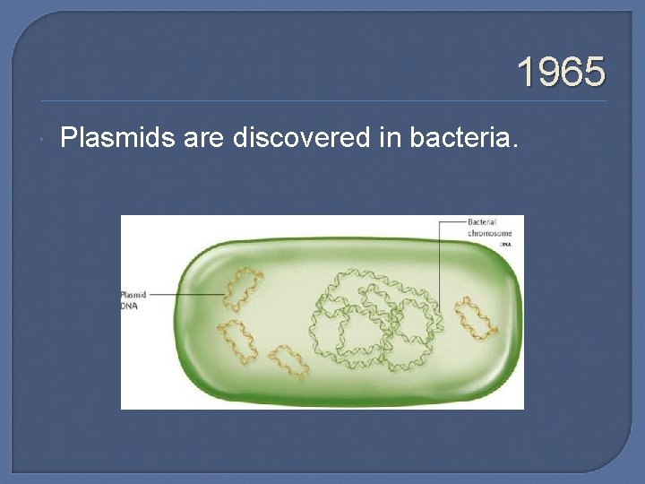 1965 Plasmids are discovered in bacteria. 