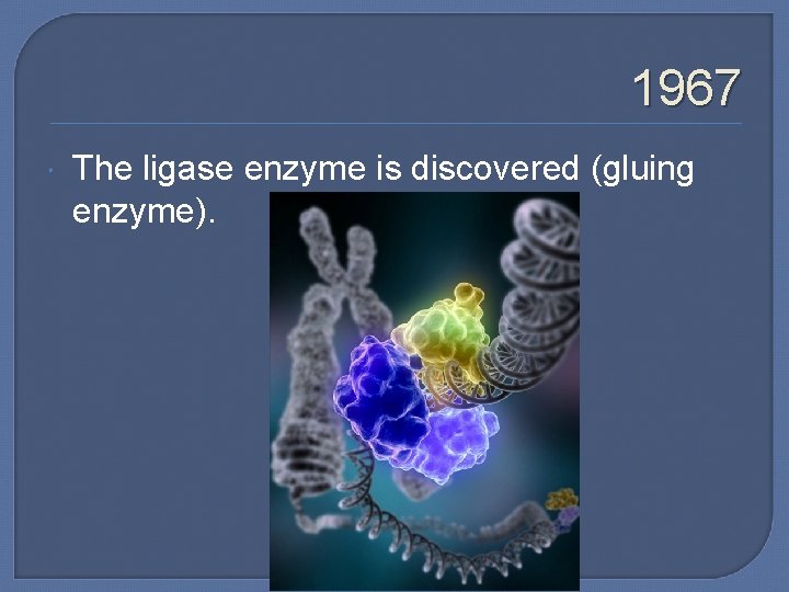 1967 The ligase enzyme is discovered (gluing enzyme). 