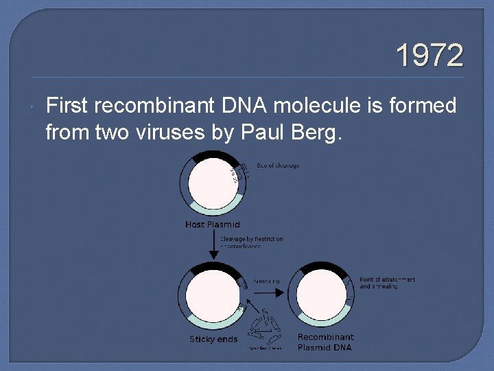 1972 First recombinant DNA molecule is formed from two viruses by Paul Berg. 