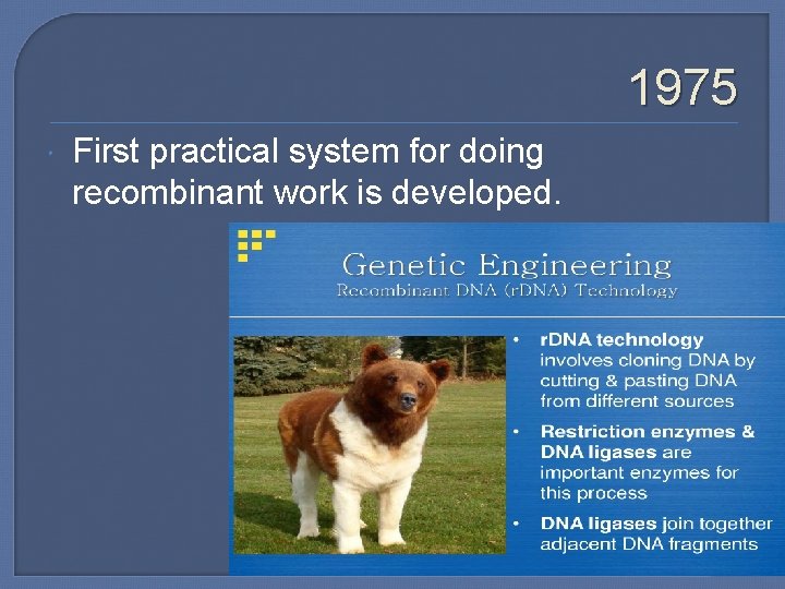1975 First practical system for doing recombinant work is developed. 
