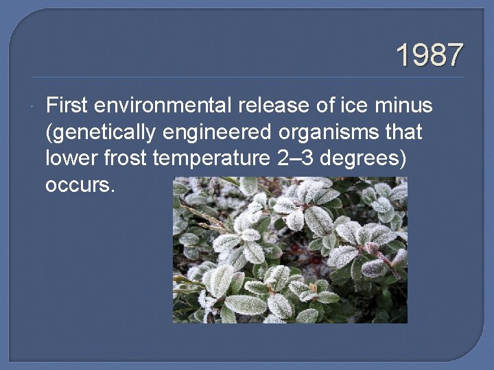 1987 First environmental release of ice minus (genetically engineered organisms that lower frost temperature