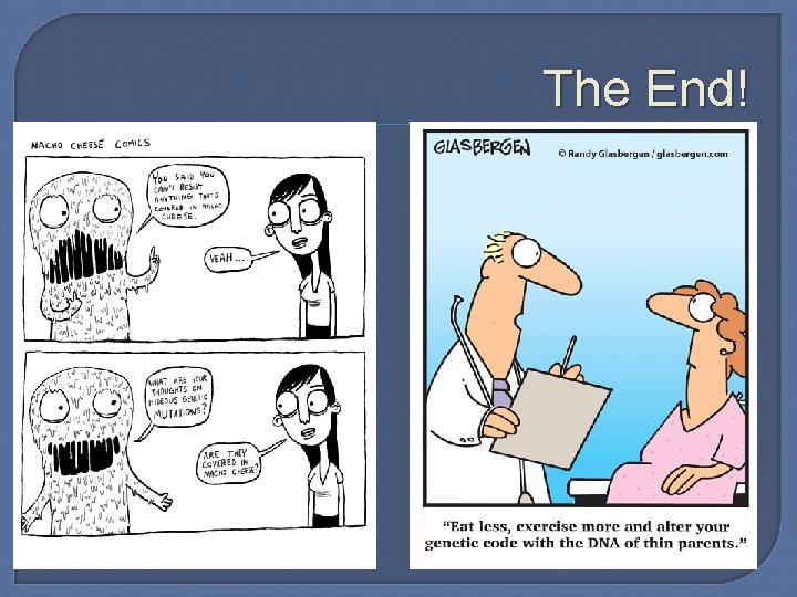 The End! 