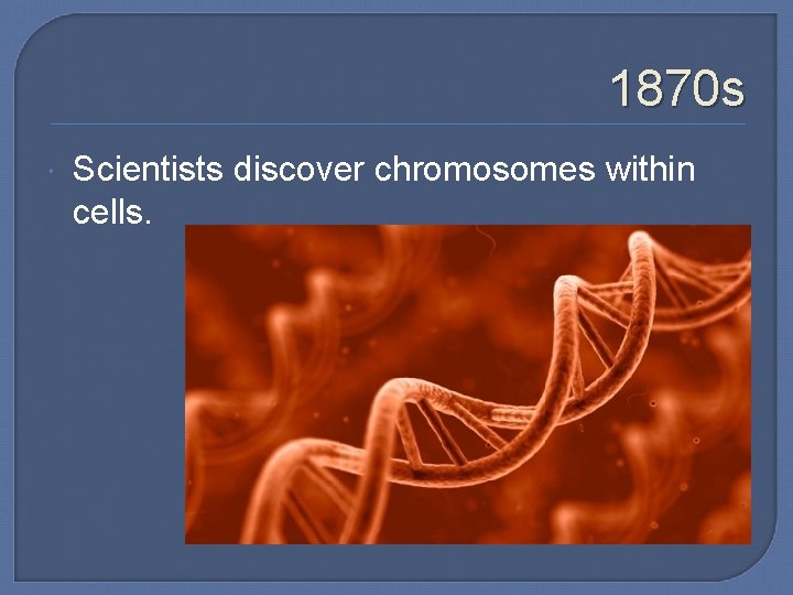 1870 s Scientists discover chromosomes within cells. 