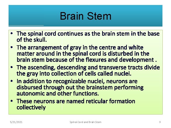 Brain Stem • The spinal cord continues as the brain stem in the base