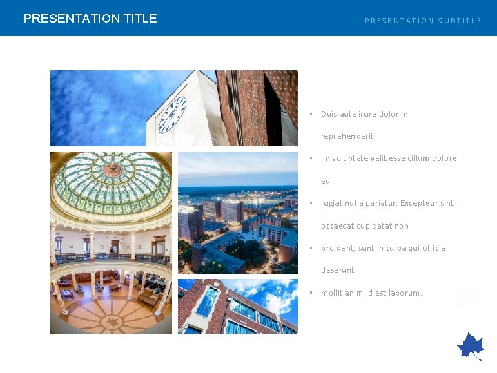 PRESENTATION TITLE PRESENTATION SUBTITLE • Duis aute irure dolor in reprehenderit • in voluptate