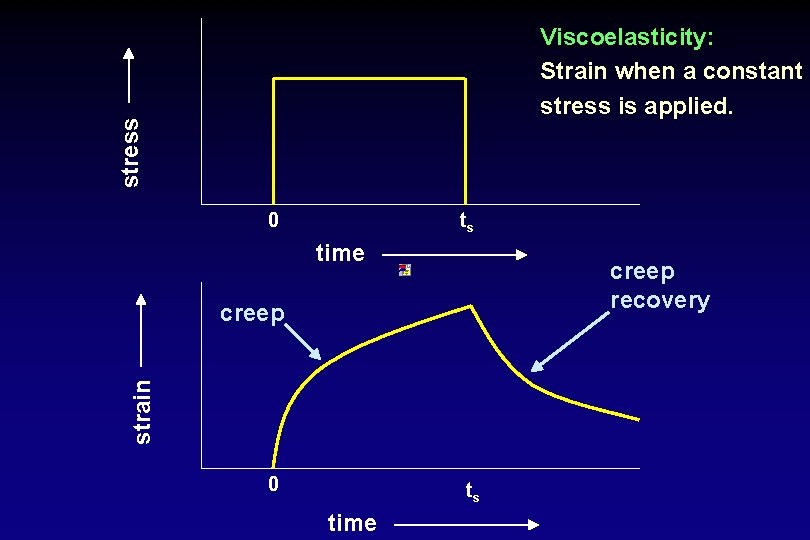 stress Viscoelasticity: Strain when a constant stress is applied. 0 ts time creep recovery