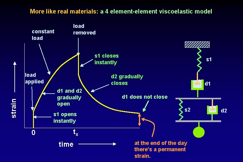 More like real materials: a 4 element-element viscoelastic model constant load removed s 1