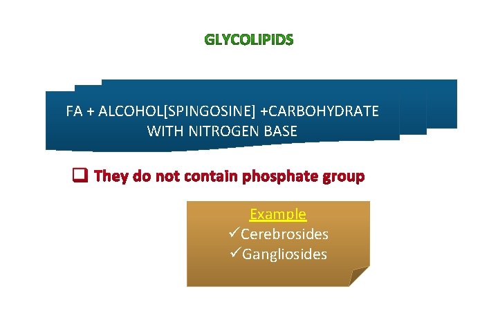 FA + ALCOHOL[SPINGOSINE] +CARBOHYDRATE WITH NITROGEN BASE q They do not contain phosphate group
