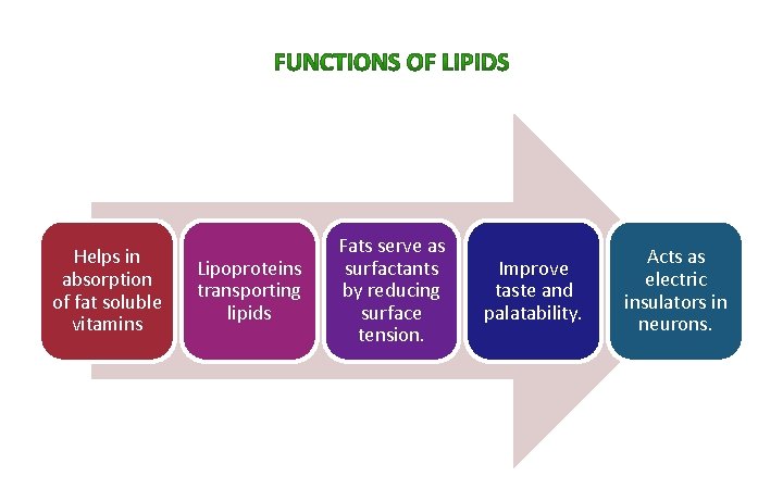 Helps in absorption of fat soluble vitamins Lipoproteins transporting lipids Fats serve as surfactants