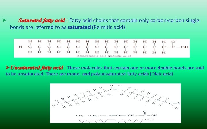 Ø Saturated fatty acid : Fatty acid chains that contain only carbon-carbon single bonds