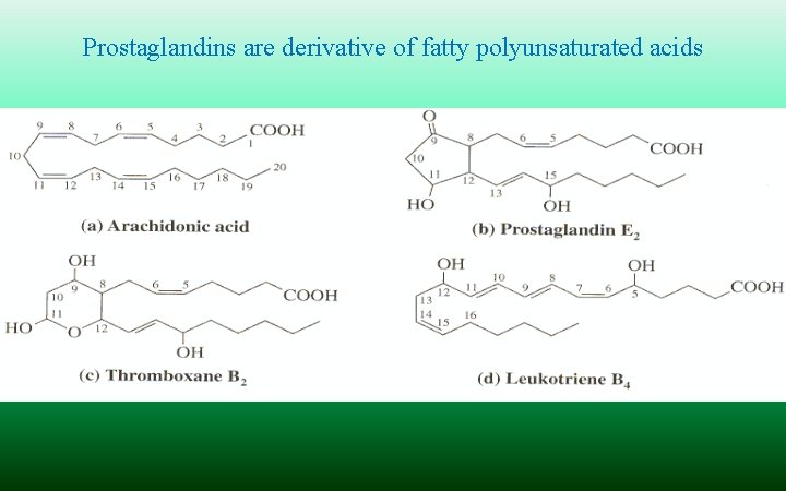 Prostaglandins are derivative of fatty polyunsaturated acids 