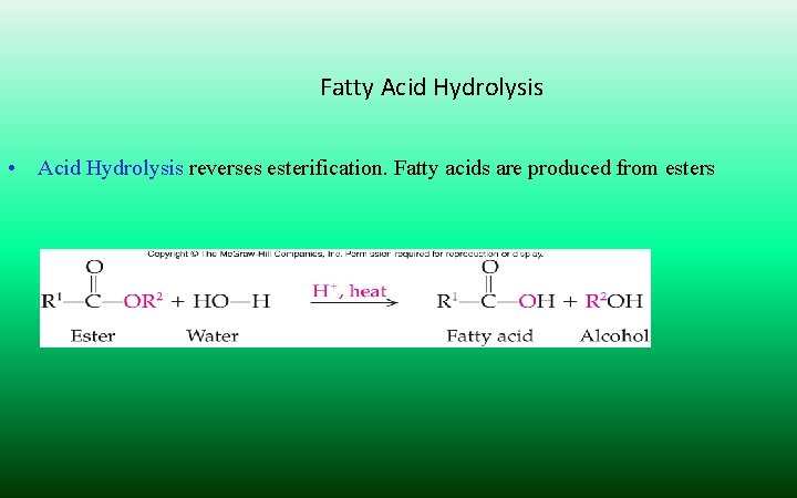 Fatty Acid Hydrolysis • Acid Hydrolysis reverses esterification. Fatty acids are produced from esters
