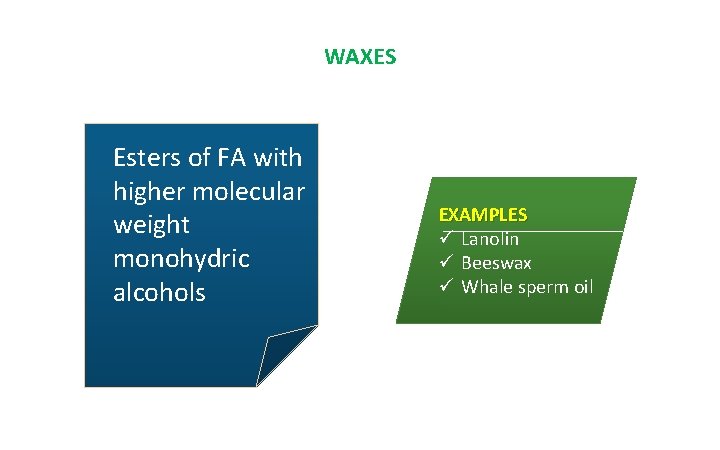 WAXES Esters of FA with higher molecular weight monohydric alcohols EXAMPLES ü Lanolin ü