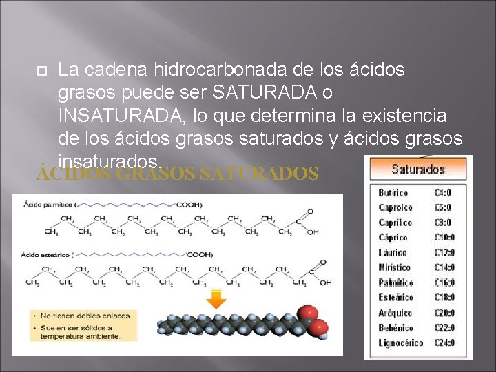 La cadena hidrocarbonada de los ácidos grasos puede ser SATURADA o INSATURADA, lo que