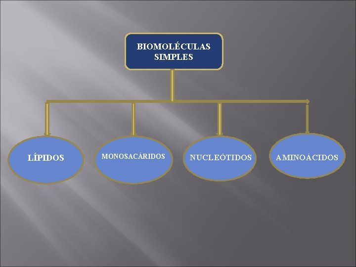 BIOMOLÉCULAS SIMPLES LÍPIDOS MONOSACÁRIDOS NUCLEÓTIDOS AMINOÁCIDOS 