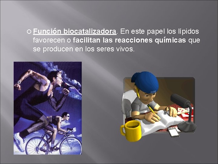  Función biocatalizadora. En este papel los lípidos favorecen o facilitan las reacciones químicas