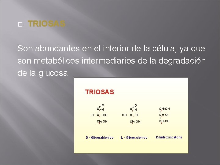  TRIOSAS Son abundantes en el interior de la célula, ya que son metabólicos