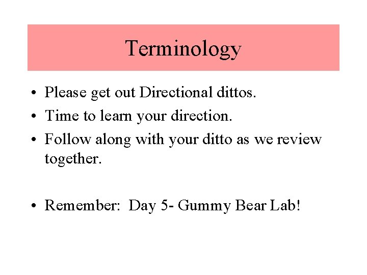 Terminology • Please get out Directional dittos. • Time to learn your direction. •