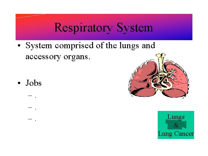 Respiratory System • System comprised of the lungs and accessory organs. • Jobs –.