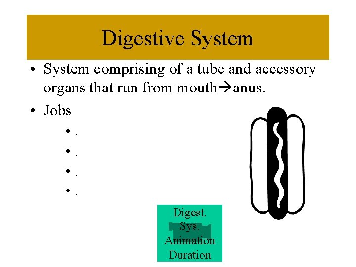 Digestive System • System comprising of a tube and accessory organs that run from