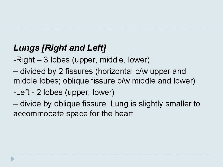 Lungs [Right and Left] -Right – 3 lobes (upper, middle, lower) – divided by