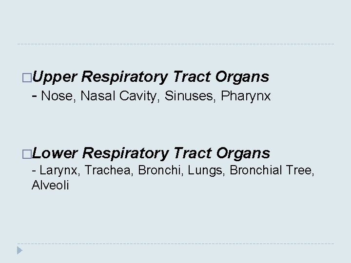 �Upper Respiratory Tract Organs - Nose, Nasal Cavity, Sinuses, Pharynx �Lower Respiratory Tract Organs