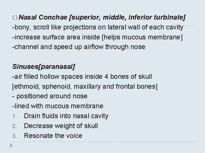 � Nasal Conchae [superior, middle, inferior turbinate] -bony, scroll like projections on lateral wall