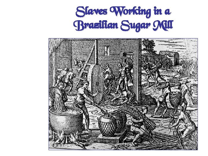 Slaves Working in a Brazilian Sugar Mill 