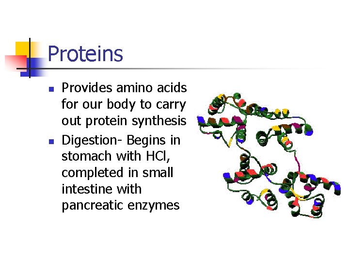 Proteins n n Provides amino acids for our body to carry out protein synthesis