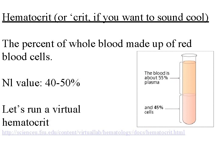 Hematocrit (or ‘crit, if you want to sound cool) The percent of whole blood