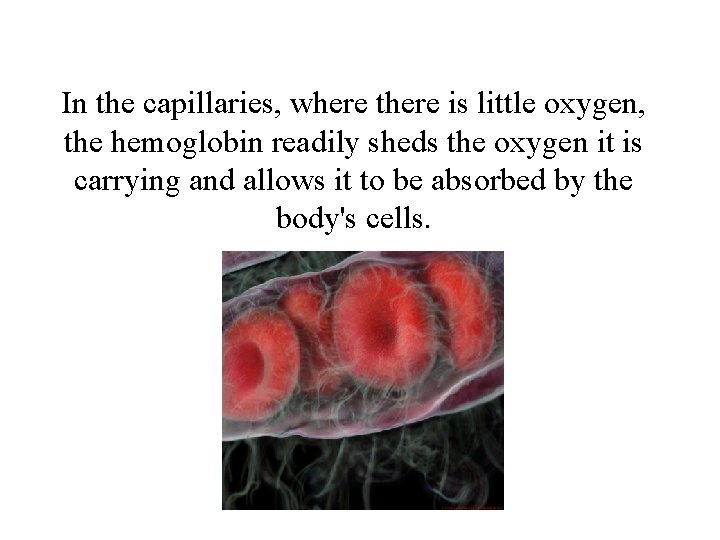 In the capillaries, where there is little oxygen, the hemoglobin readily sheds the oxygen