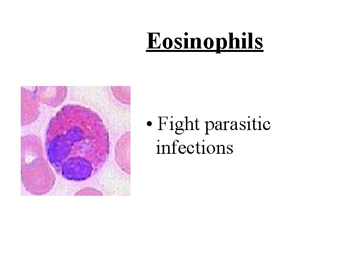 Eosinophils • Fight parasitic infections 