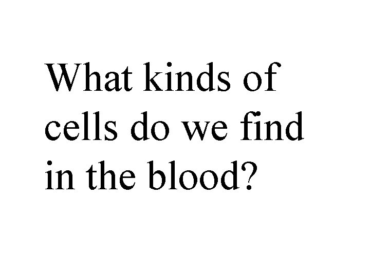 What kinds of cells do we find in the blood? 