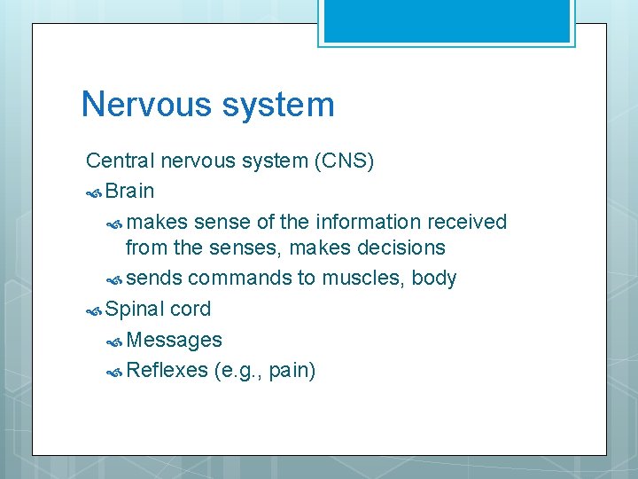 Nervous system Central nervous system (CNS) Brain makes sense of the information received from