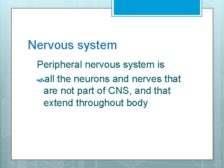 Nervous system Peripheral nervous system is all the neurons and nerves that are not