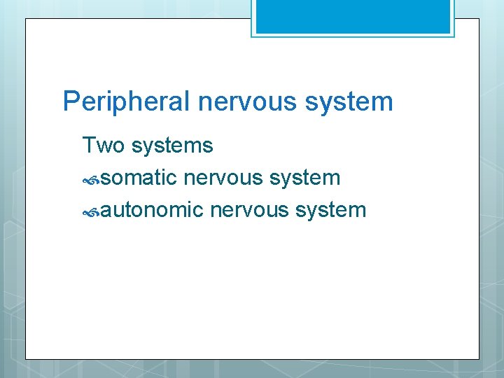 Peripheral nervous system Two systems somatic nervous system autonomic nervous system 