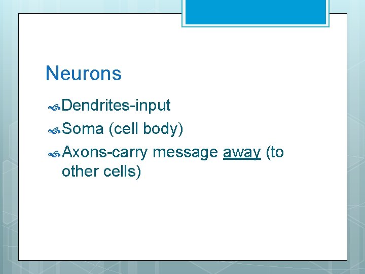 Neurons Dendrites-input Soma (cell body) Axons-carry message away (to other cells) 