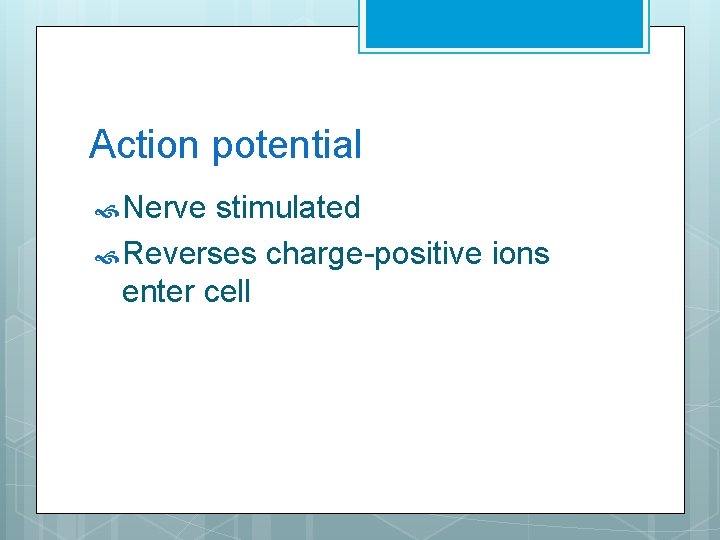 Action potential Nerve stimulated Reverses charge-positive ions enter cell 