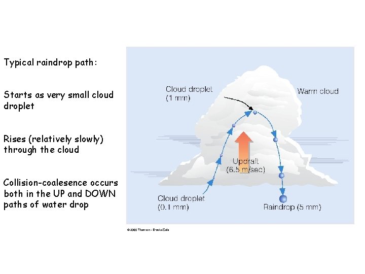 Typical raindrop path: Starts as very small cloud droplet Rises (relatively slowly) through the