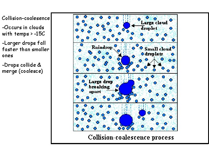 Collision-coalesence -Occurs in clouds with temps > -15 C -Larger drops fall faster than