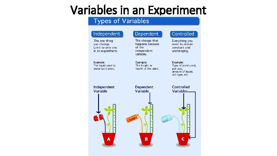 Variables in an Experiment Variables in an Experiment