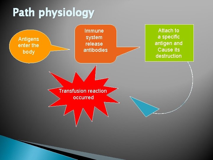 Path physiology Antigens enter the body Immune system release antibodies Transfusion reaction occurred Attach