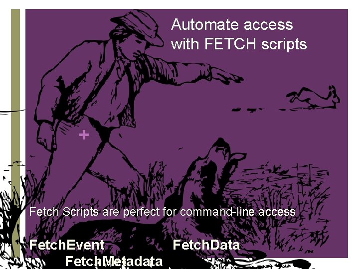 Automate access with FETCH scripts + Fetch Scripts are perfect for command-line access Fetch.