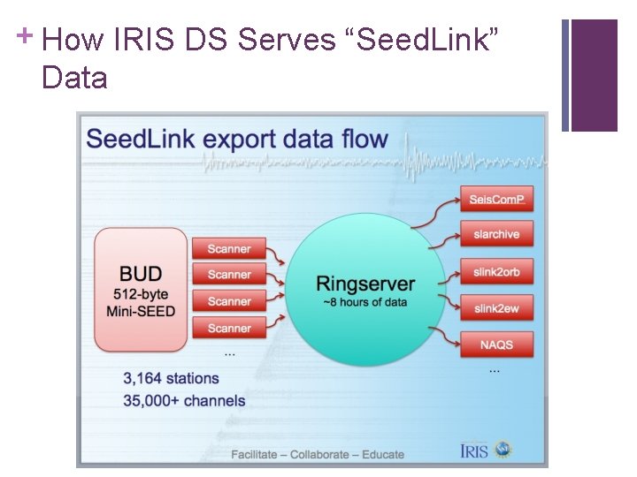 + How IRIS DS Serves “Seed. Link” Data 