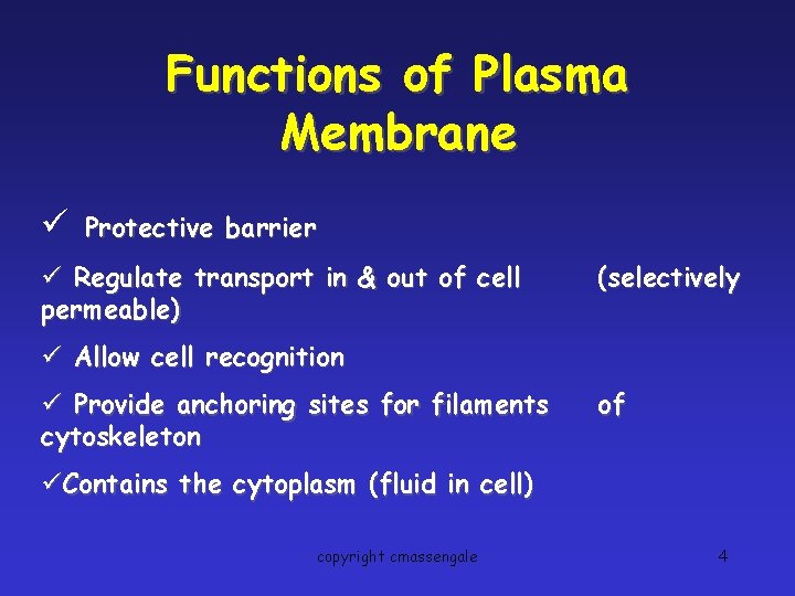 Functions of Plasma Membrane ü Protective barrier ü Regulate transport in & out of
