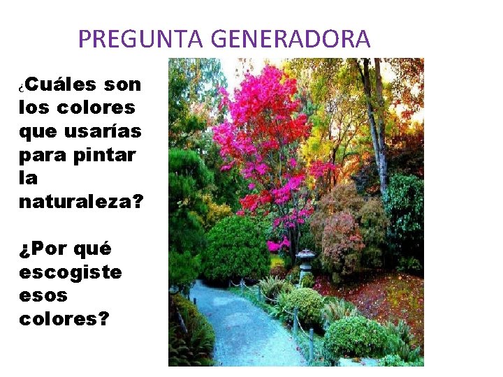 PREGUNTA GENERADORA ¿Cuáles son los colores que usarías para pintar la naturaleza? ¿Por qué